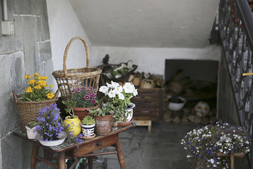 B&B La Gerbolina San Giusto Canavese Luaran gambar