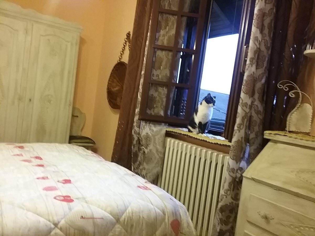 B&B La Gerbolina San Giusto Canavese Luaran gambar